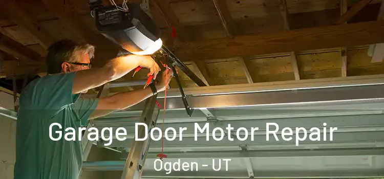  Garage Door Motor Repair Ogden - UT