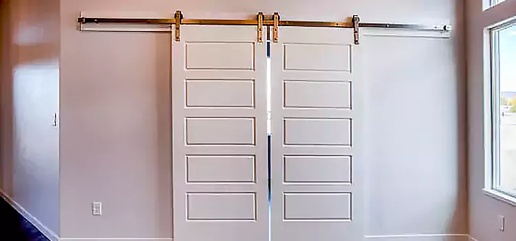 Glass Barn Door with Installation Hardware Kit Ogden